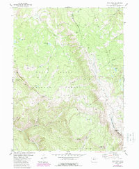 Piney Peak 1980 topographic map thumbnail