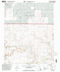 Pintada Creek 1996 topographic map thumbnail