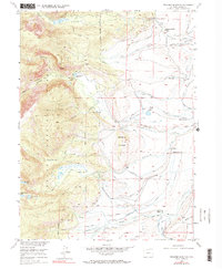 Pitchpine Mountain 1955 topographic map thumbnail