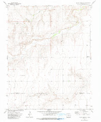 Plains Community 1971 topographic map thumbnail