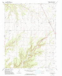 Pleasant View 1994 topographic map thumbnail