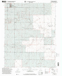 Pritchett 1996 topographic map thumbnail