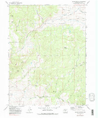 Quaker Mountain 1971 topographic map thumbnail