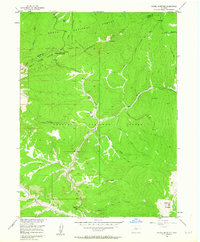 Radial Mountain 1956 topographic map thumbnail
