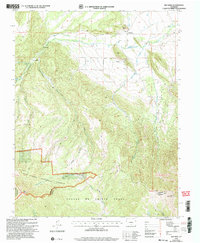 Red Wing 2001 topographic map thumbnail