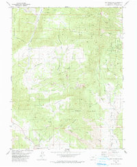 Rice Mountain 1983 topographic map thumbnail