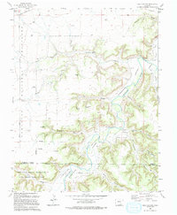 Riley Canyon 1993 topographic map thumbnail