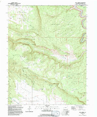 Roc Creek 1994 topographic map thumbnail