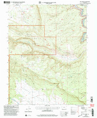 Roc Creek 2001 topographic map thumbnail