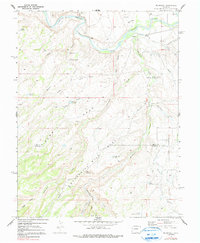 Roubideau 1969 topographic map preview