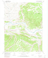 Rough Gulch 1966 topographic map thumbnail