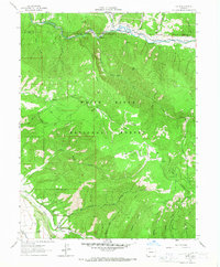 Ruedi 1961 topographic map preview
