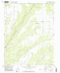 Ruin Canyon 1994 topographic map thumbnail