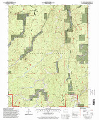 Signal Butte 1994 topographic map thumbnail