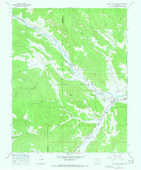 South Fork West 1967 topographic map thumbnail
