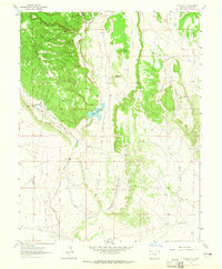 Stone City 1963 topographic map thumbnail