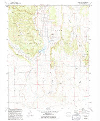 Stone City 1963 topographic map thumbnail