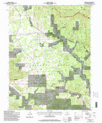 Tarryall 1994 topographic map thumbnail