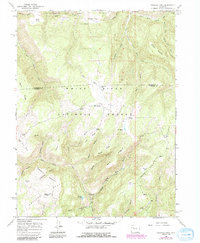 Triangle Park 1966 topographic map thumbnail
