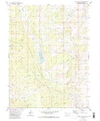 Tyler Mountain 1980 topographic map thumbnail