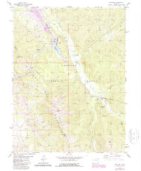 Ute Peak 1980 topographic map thumbnail