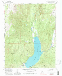 Vallecito Reservoir 1964 topographic map thumbnail