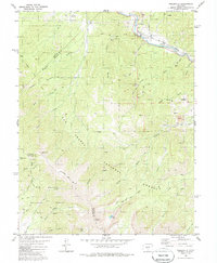 Wellsville 1980 topographic map thumbnail