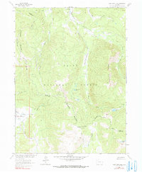 West Fork Lake 1962 topographic map preview