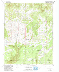 Willow Spring 1993 topographic map thumbnail