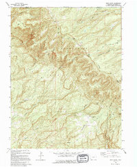 Windy Point 1994 topographic map thumbnail