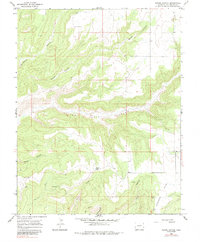Woods Canyon 1965 topographic map thumbnail