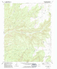 Woods Canyon 1994 topographic map thumbnail