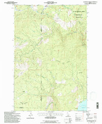 Aldermand Ridge 1994 topographic map thumbnail