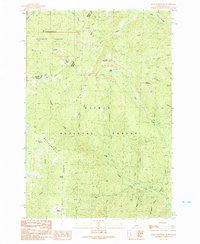 Allan Mountain 1991 topographic map thumbnail