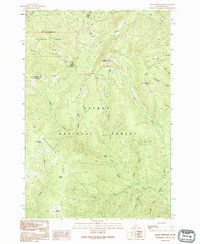 Allan Mountain 1991 topographic map thumbnail