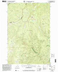 Allan Mountain 1998 topographic map thumbnail
