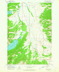Alturas Lake 1963 topographic map thumbnail