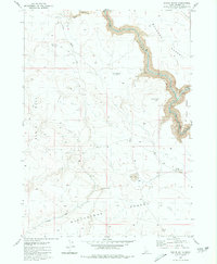 Austin Butte 1980 topographic map thumbnail