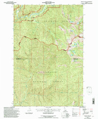 Bacon Peak 1994 topographic map thumbnail