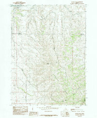 Badger Peak 1984 topographic map thumbnail