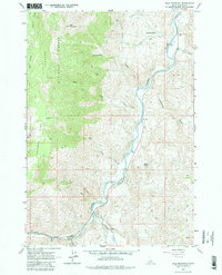 Bald Mountain 1963 topographic map thumbnail
