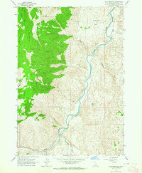 Bald Mountain 1963 topographic map thumbnail