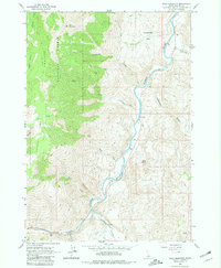 Bald Mountain 1963 topographic map thumbnail