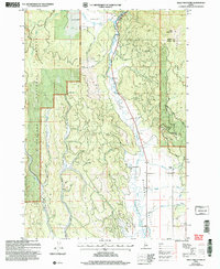 Bally Mountain 2004 topographic map thumbnail