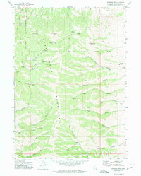 Bannock Peak 1971 topographic map thumbnail