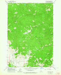Basin Butte 1963 topographic map thumbnail