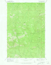 Bathtub Mtn topographic map thumbnail