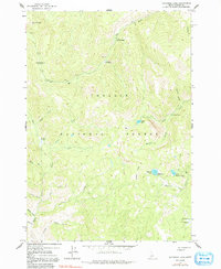 Bayhorse Lake 1963 topographic map thumbnail