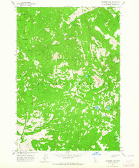 Bayhorse Lake 1963 topographic map thumbnail
