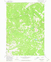 Bayhorse Lake 1963 topographic map thumbnail